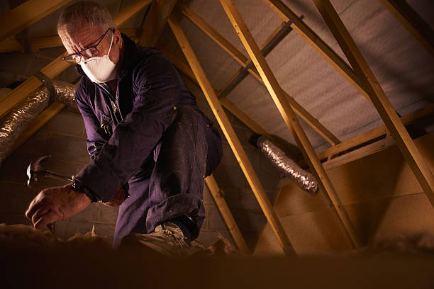 Best Commercial Insulation in Lavallette, NJ